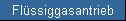 Fl�ssiggasantrieb